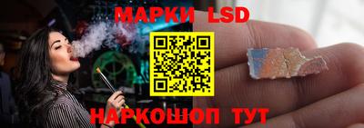 стафф Можга